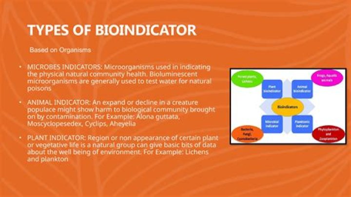 What is an bioindicator species?