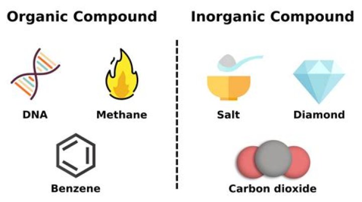 What is an example of an inorganic molecule?