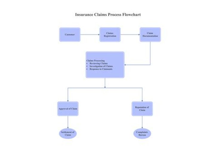 What is an example of an insurance carrier?