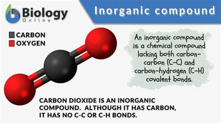 What is an example of inorganic carbon?