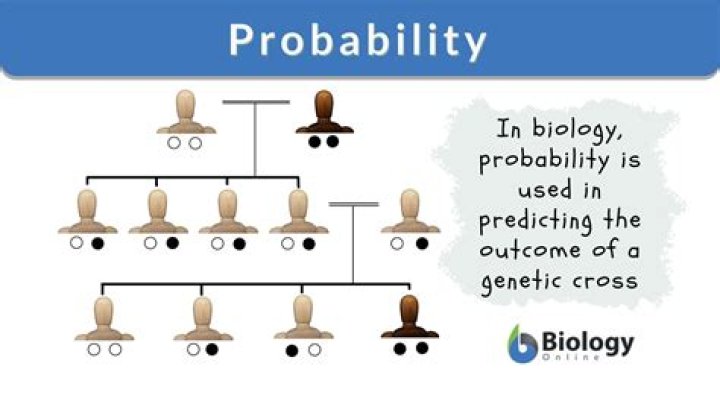 What is an example of probability in genetics?