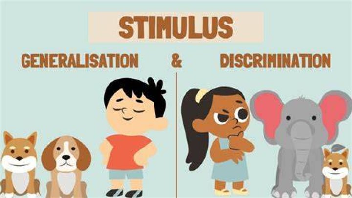 What is an example of stimulus discrimination?