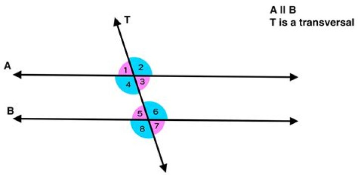 What is an example of transversal?