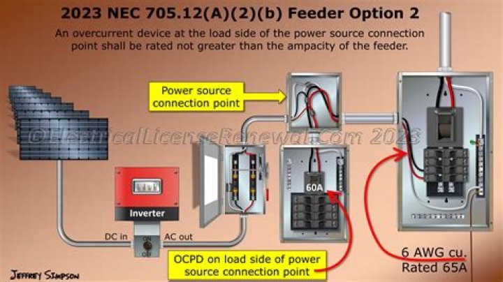 What is an opportunistic feeder?