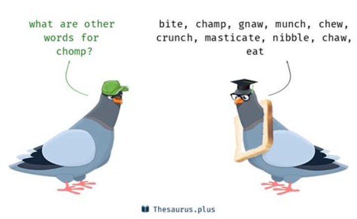 What is another word for chomp?