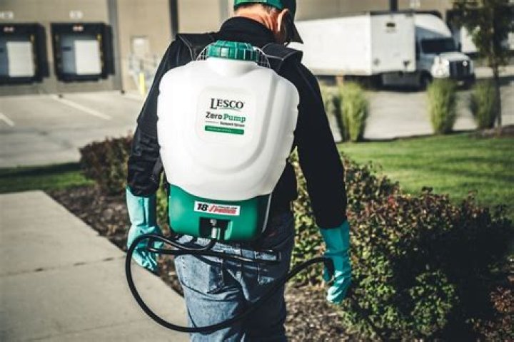 What is anti-desiccant spray for evergreens?