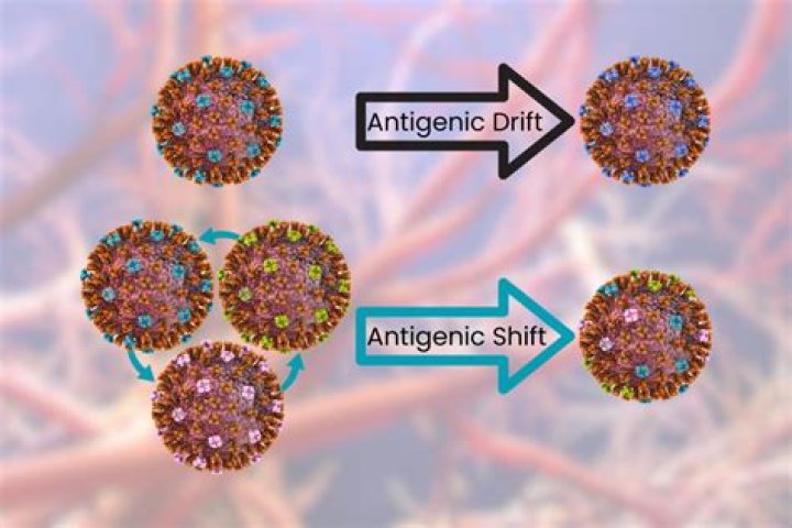 What is antigenic drift in viruses?