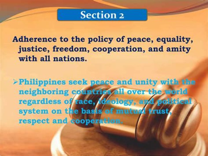 What is Article 11 Section 5 of the Constitution?