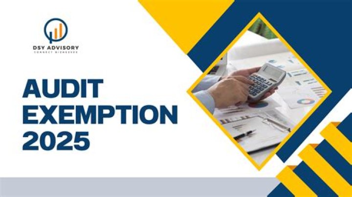 What is audit exemption?