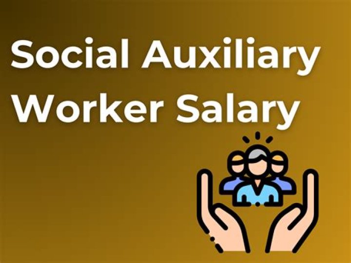 What is auxiliary worker mean?