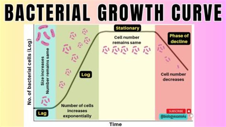 What is bacterial formulation?