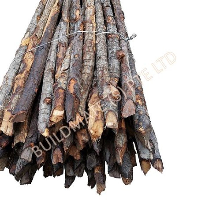 What is Bakau?