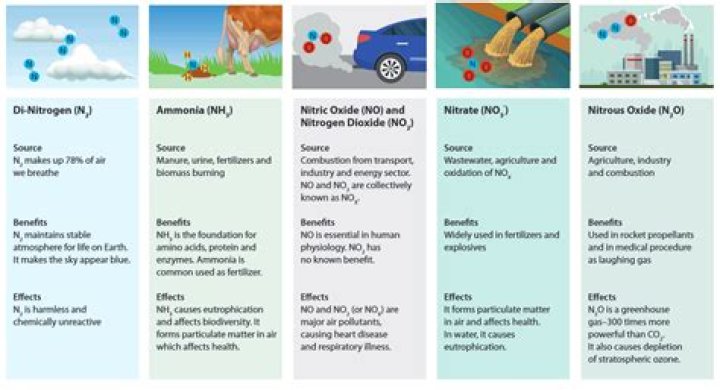 What is being done to reduce nitrogen dioxide pollution?