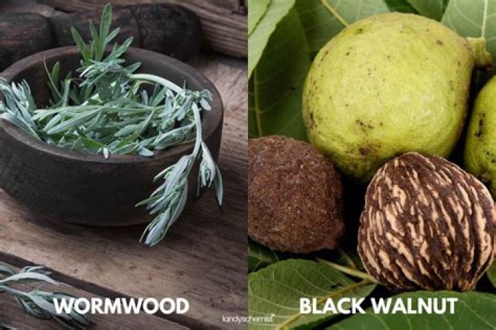 What is black walnut and wormwood good for?