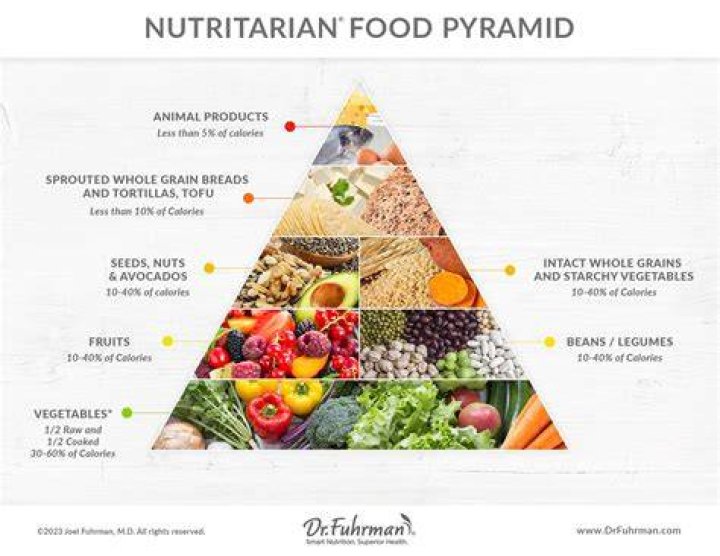 What is Blitter food?