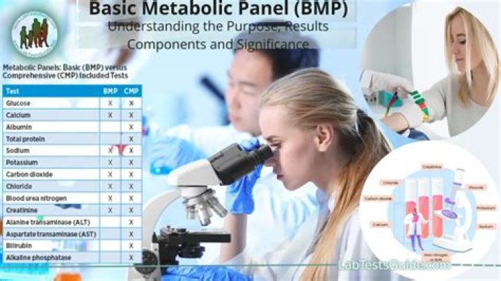 What is BMP in biology?