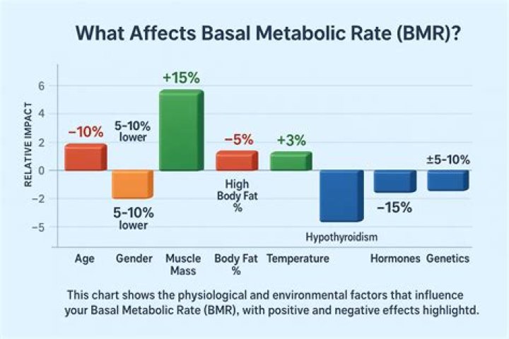 What is BMR in medical term?