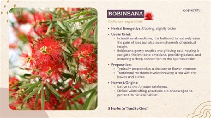 What is Bobinsana used for?