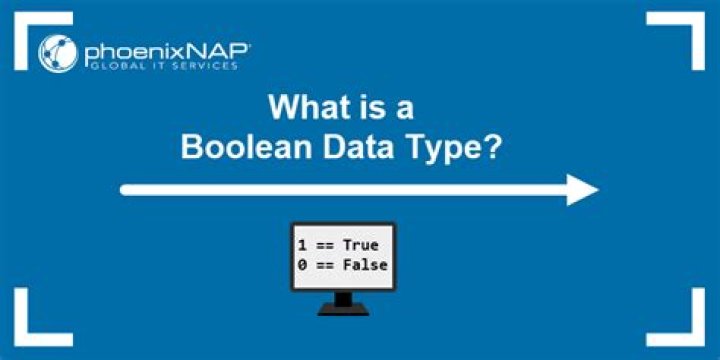 What is bool data type in C++?