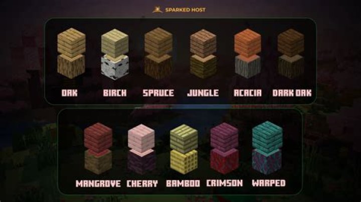 What is bukkit for Minecraft?