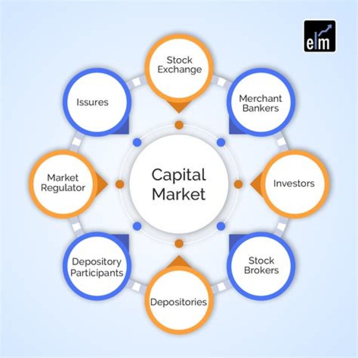 What is capital market segment of NSE?