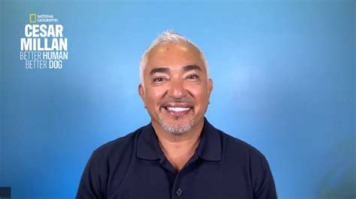 What is Cesar Millan doing in 2020?
