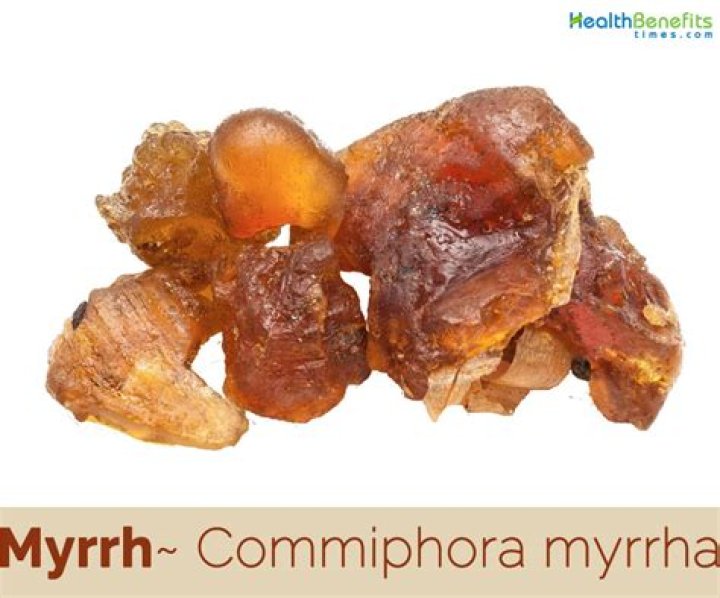 What is Commiphora mukul called in English?