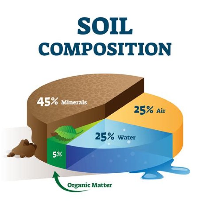 What is composition of soil organic matter?