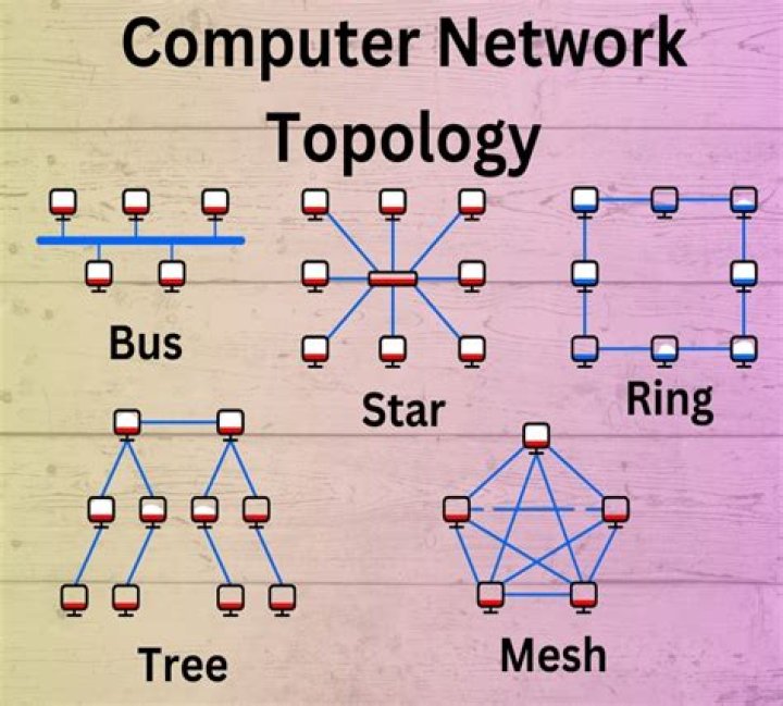 What is computer network topology?