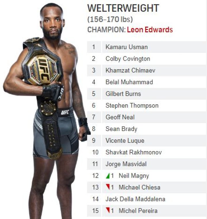 What is considered welterweight?
