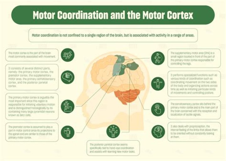 What is coordination in outline?