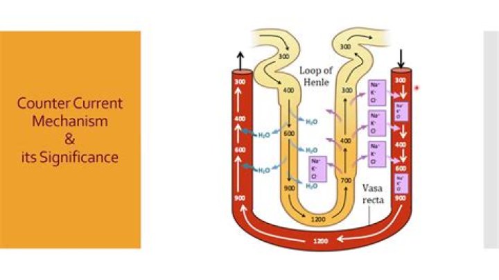 What is Counter Current Decantation?