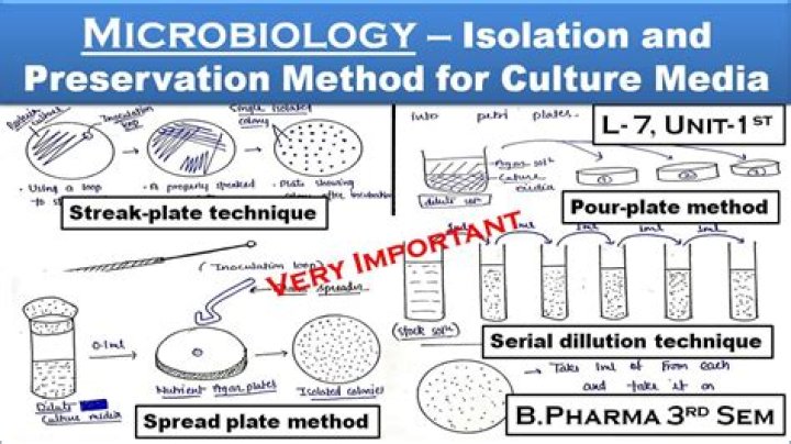 What is culture methods in microbiology?