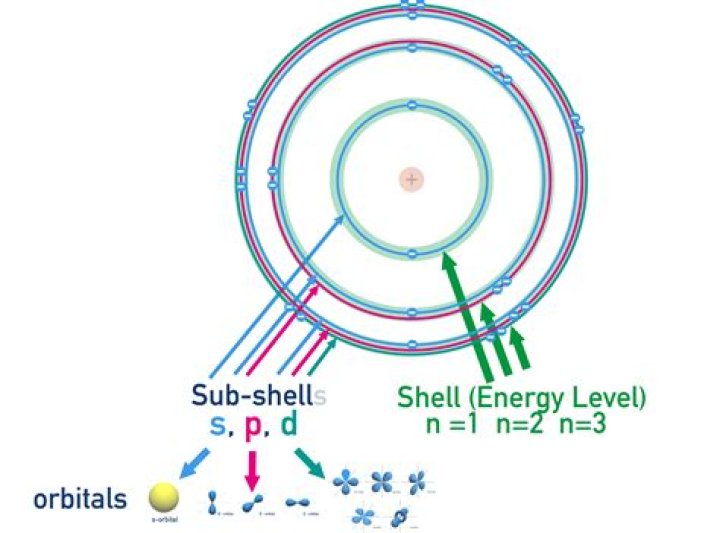 What is D-Sub Shell Size?