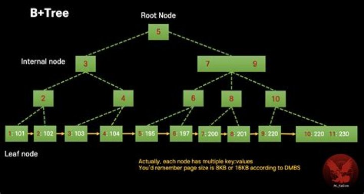 What is DD MTree?