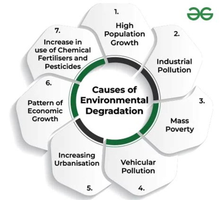 What is degradation coefficient?
