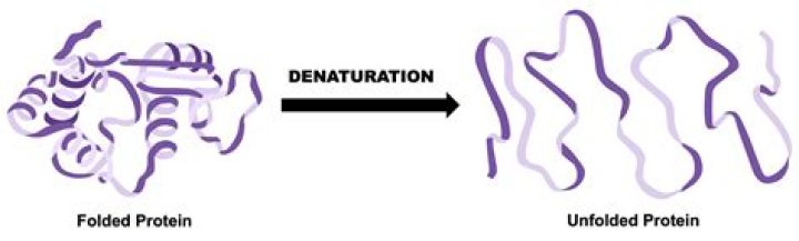 What is denaturation in food tech?