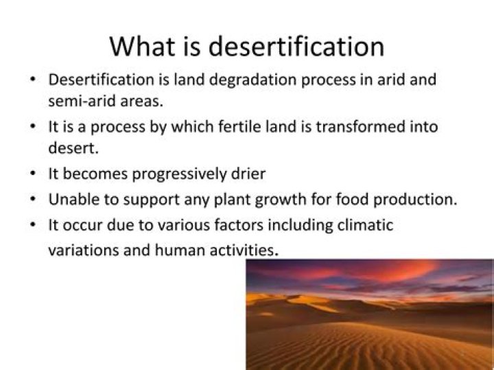What is desertification PPT?