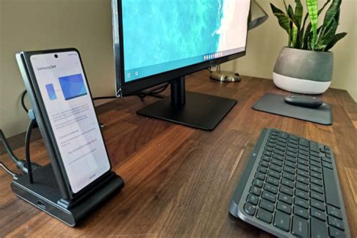 What is Dex stand for?