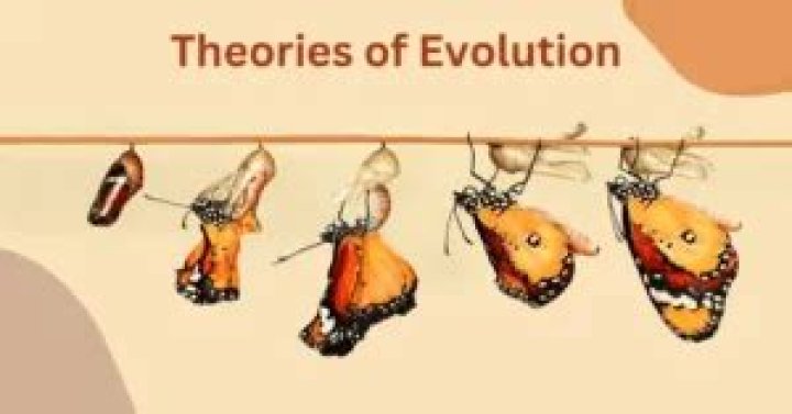 What is difference between evolutionism and neoevolutionism?