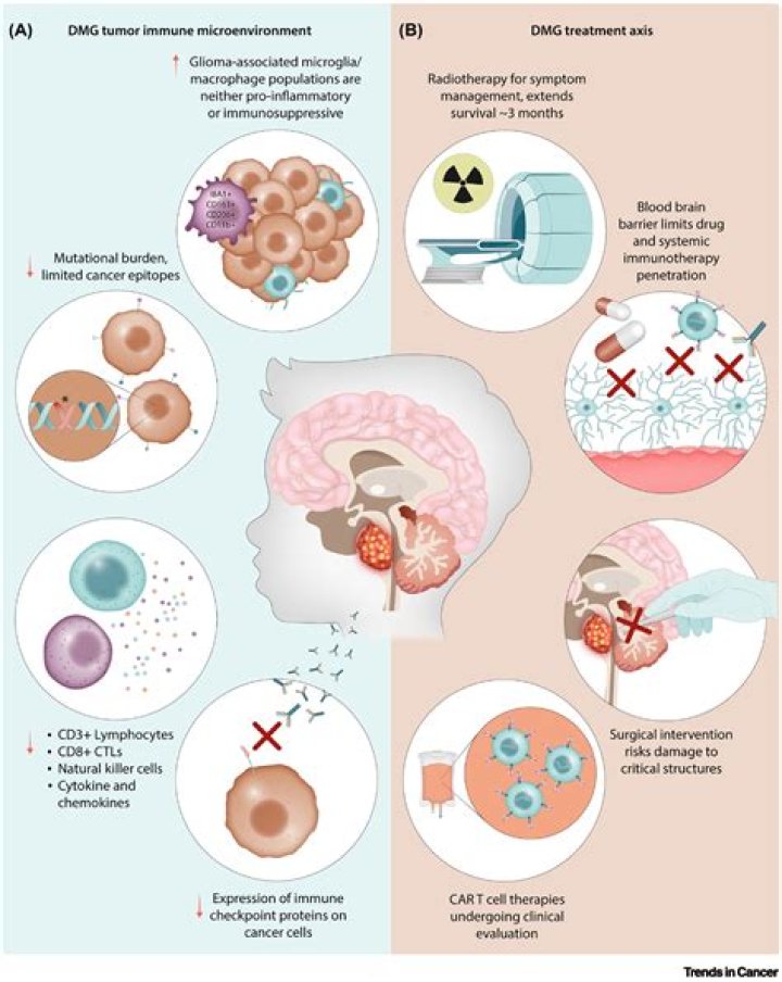 What is diffuse panbronchiolitis?