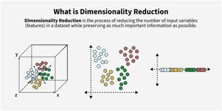 What is dimensionality reduction used for?
