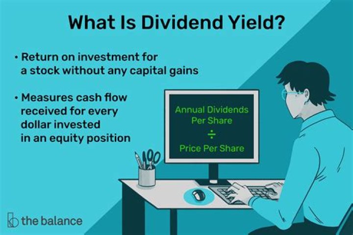 What is dividend yield?