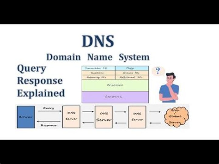 What is DNS query response?