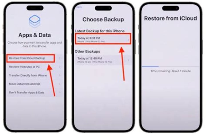What is documents and data on iPhone backup?