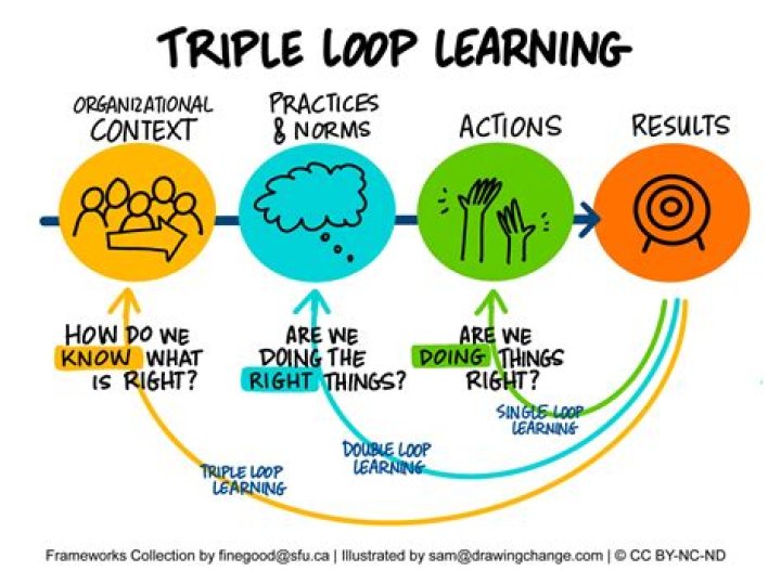 What is double loop learning Argyris?