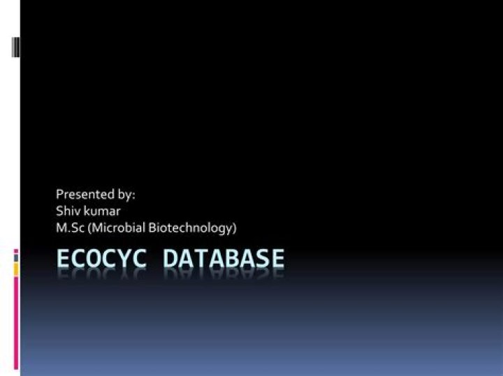 What is EcoCyc database?