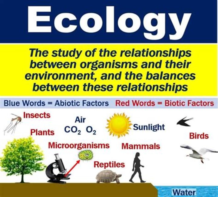 What is ecology definition quizlet?
