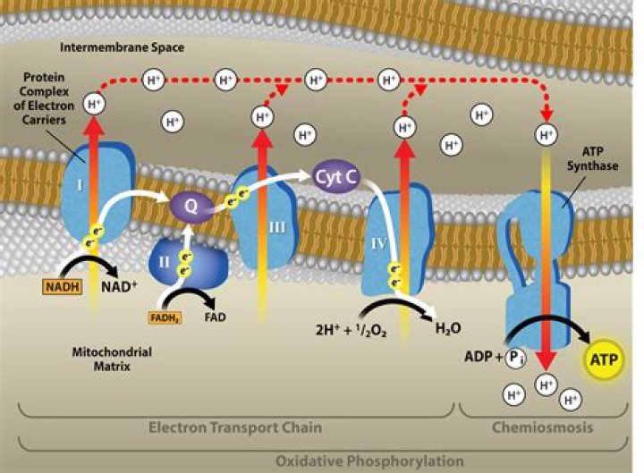 What is electron transfer in chemistry?