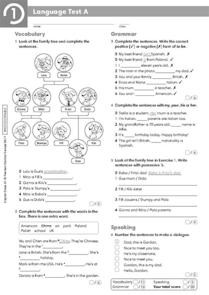 What is English level1 test?